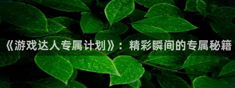 新宝GG品牌：《游戏达人专属计划》：精彩瞬间的专属秘籍