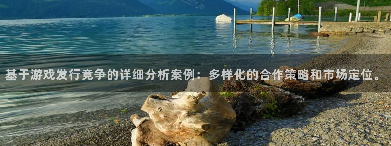 新宝GG官网注册方法是什么意思：基于游戏发行竞争的详细分析案例：多样化的合作策略和市场定位。