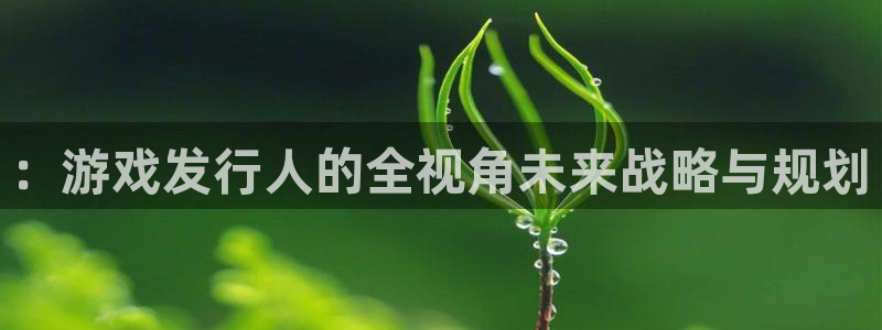 新宝GG官网平台代理条件：：游戏发行人的全视角未来战略与规划