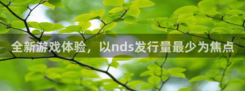 新宝GG子赚话费：全新游戏体验，以nds发行量最少为焦点