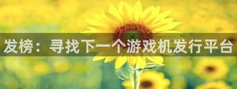 新宝GG官网注册地址在哪里查询：发榜：寻找下一个游戏机发行平台