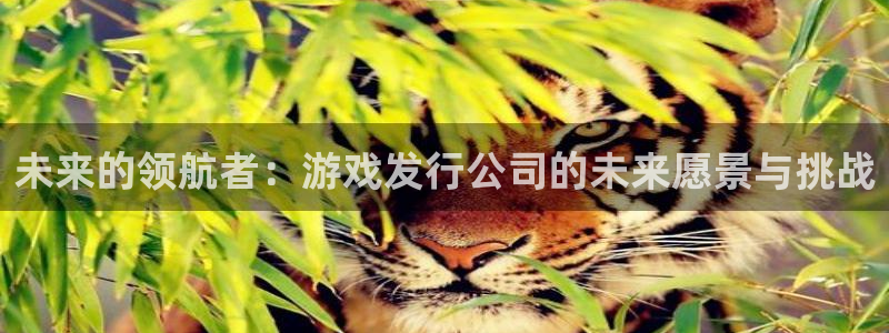 新宝GG图片：未来的领航者：游戏发行公司的未来愿景与挑战
