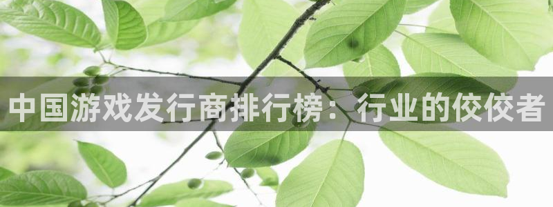 新宝GG子怎么样：中国游戏发行商排行榜：行业的佼佼者