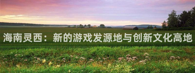 我想看新宝GG：海南灵西：新的游戏发源地与创新文化高地