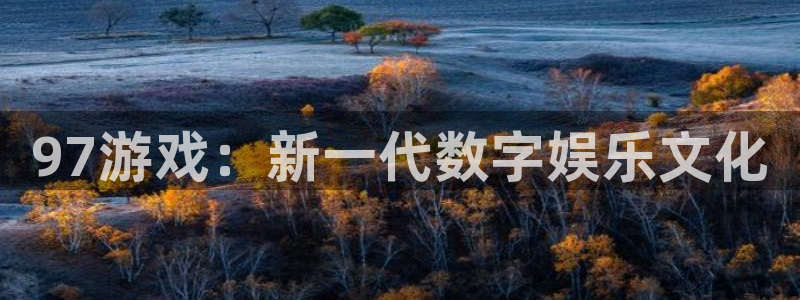 新宝GG官网注册平台登录不上：97游戏：新一代数字娱乐文化