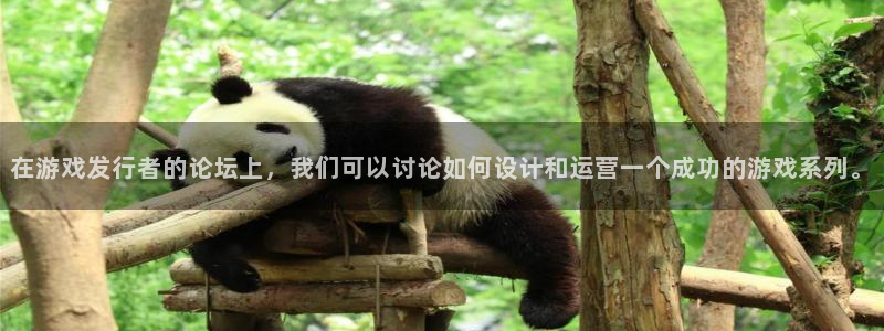 新宝GG官网登录注册账号安全吗是真的吗：在游戏发行者的论坛上，我们可以讨论如何设计和运营一个成功的游戏系列。