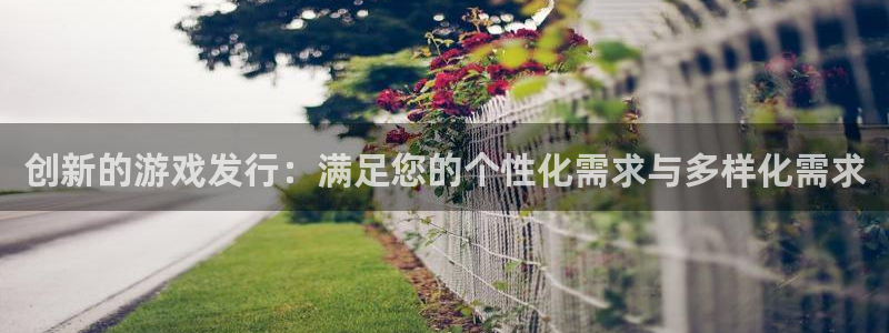 新宝GG官网官网注册账号：创新的游戏发行：满足您的个性化需求与多样化需求