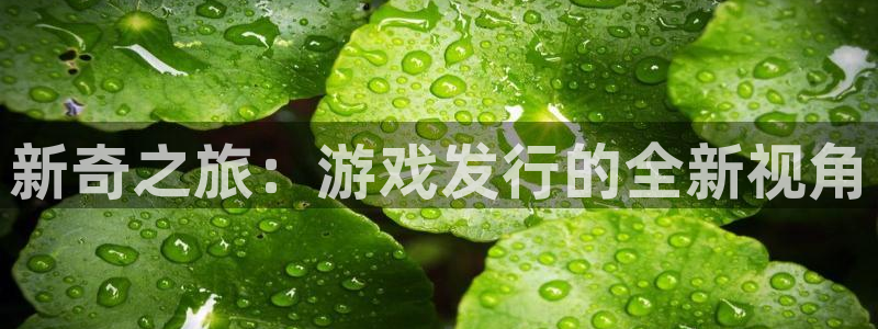 新宝GG官网客服电话是多少：新奇之旅：游戏发行的全新视角