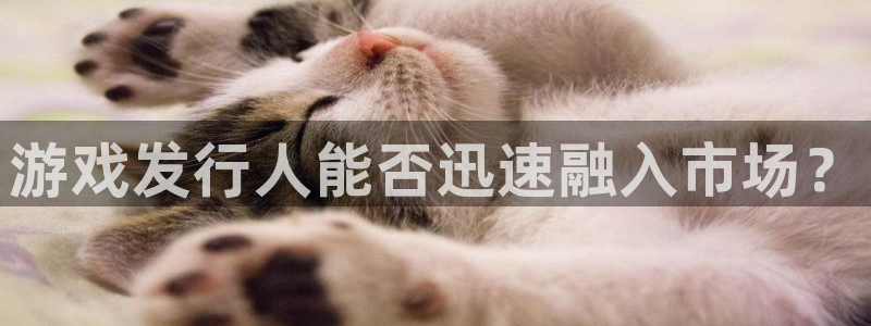 苏州新宝GG网络科技有限公司