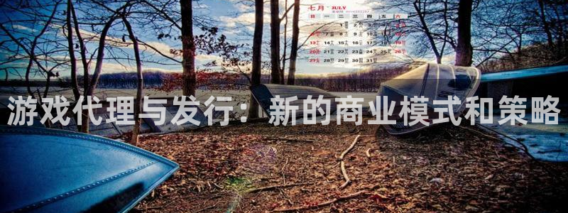 新宝GG官网登录注册账号失败怎么办：游戏代理与发行：新的商业模式和策略