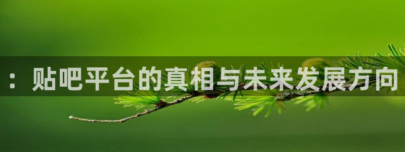 新宝GG官网平台怎么样啊：：贴吧平台的真相与未来发展方向