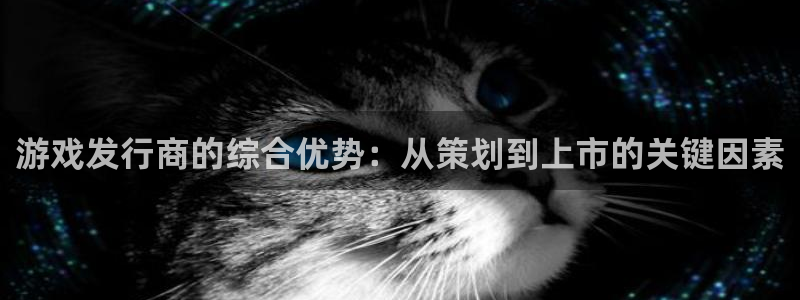 新宝GG烟照片：游戏发行商的综合优势：从策划到上市的关键因素