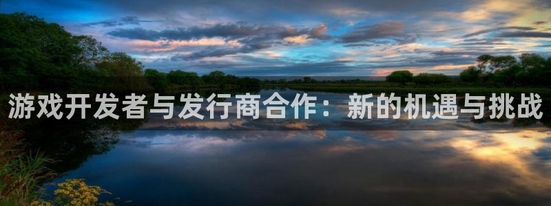 新宝GG电子商务有限公司怎么样知乎：游戏开发者与发行商合作：新的机遇与挑战