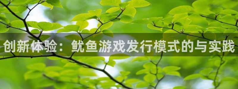 新宝GG智邦：创新体验：鱿鱼游戏发行模式的与实践