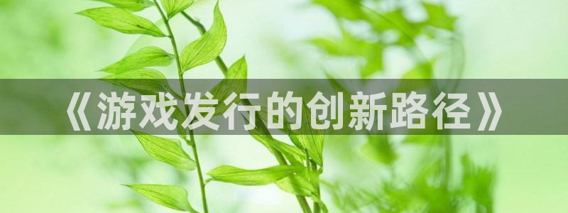 新宝GG官网注册平台是什么意思：《游戏发行的创新路径》