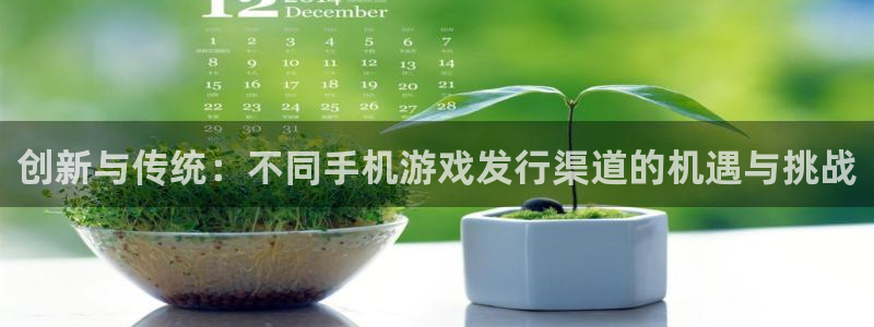 新宝GG子文化创意有限公司特邀玩家：创新与传统：不同手机游戏发行渠道的机遇与挑战