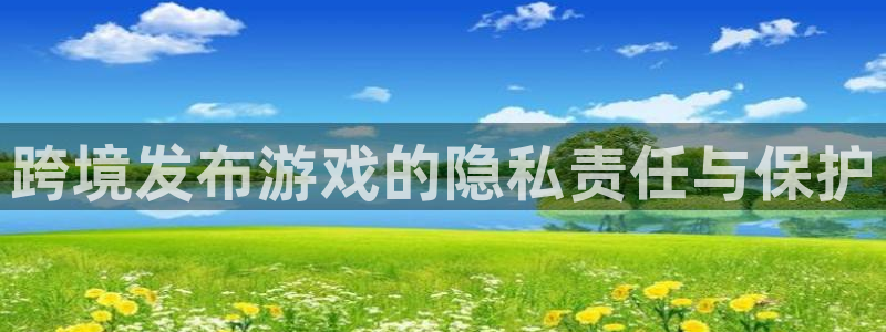 新宝GG子市值：跨境发布游戏的隐私责任与保护