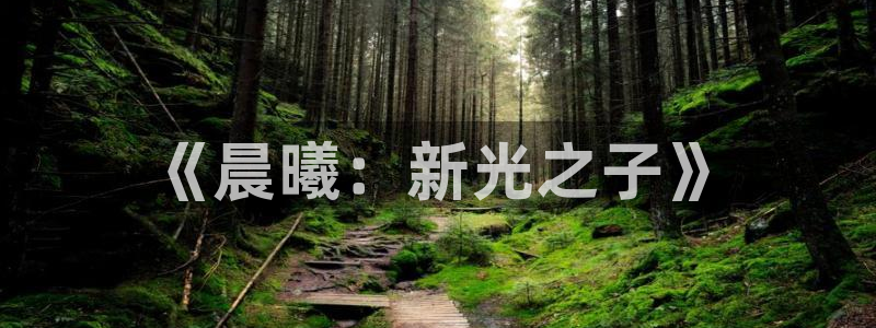 新宝GG衣服怎么样：《晨曦：新光之子》