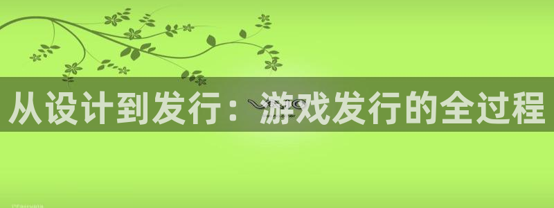 新宝GG官网登录注册账号是什么样的：从设计到发行：游戏发行的全过程