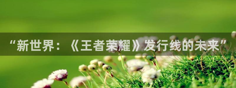 作者新宝GG子小说