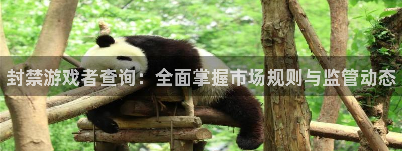 陕西新宝GG子文化创意有限公司有什么游戏：封禁游戏者查询：全面掌握市场规则与监管动态